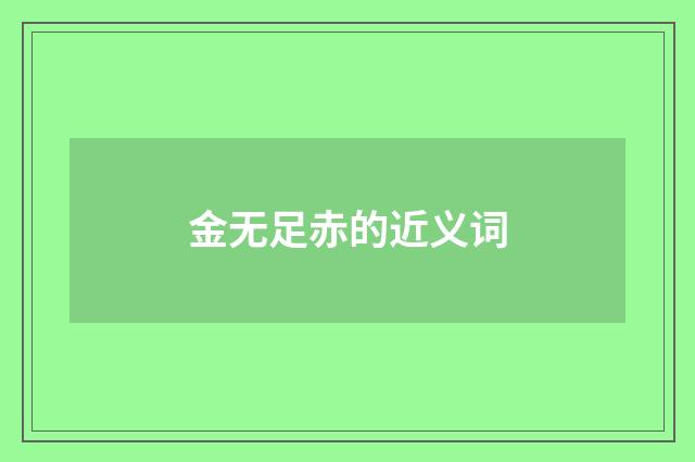 金无足赤的近义词