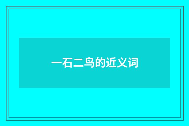 一石二鸟的近义词
