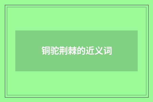 铜驼荆棘的近义词