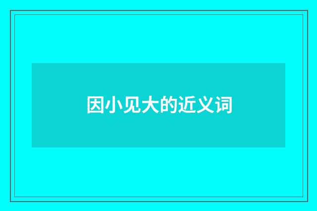 因小见大的近义词