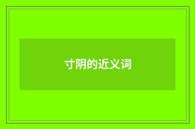 寸阴的近义词