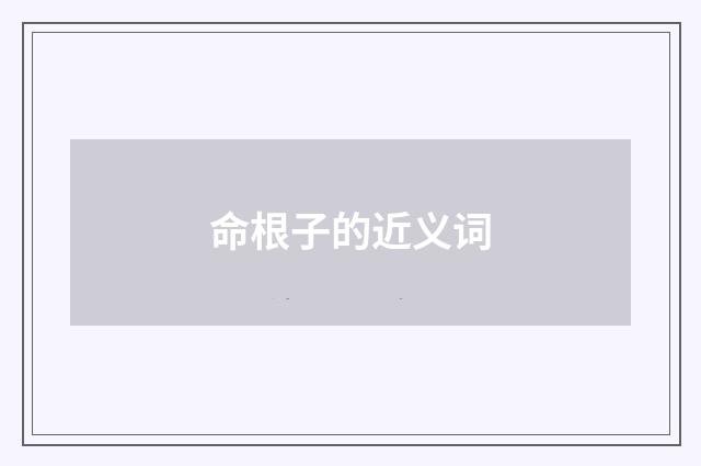 命根子的近义词