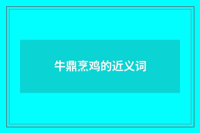 牛鼎烹鸡的近义词