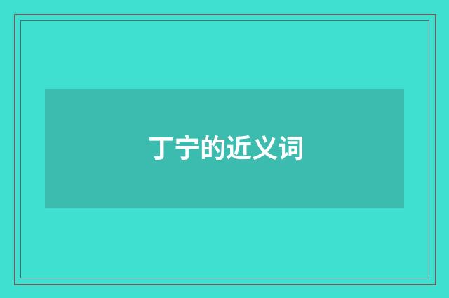丁宁的近义词