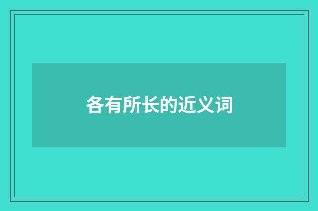 各有所长的近义词