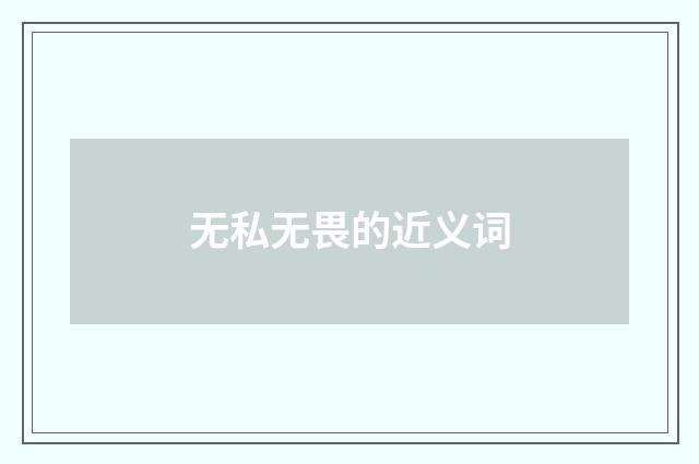 无私无畏的近义词