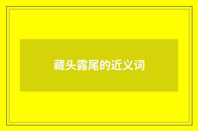 藏头露尾的近义词