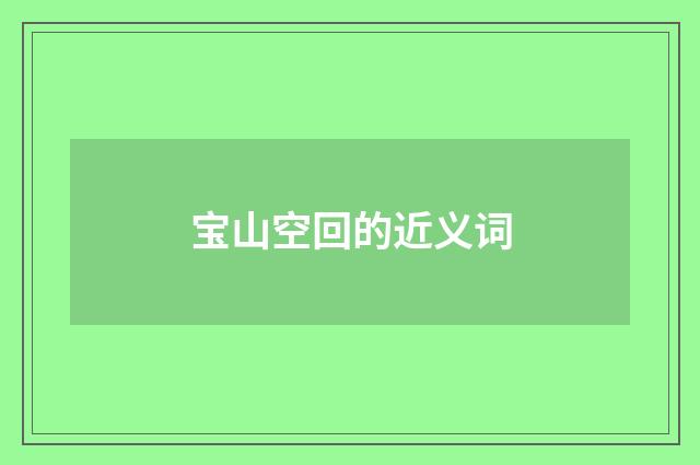 宝山空回的近义词