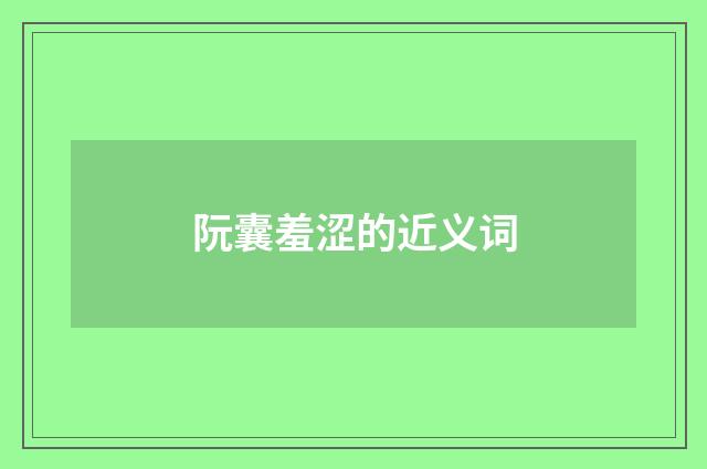 阮囊羞涩的近义词