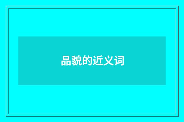 品貌的近义词