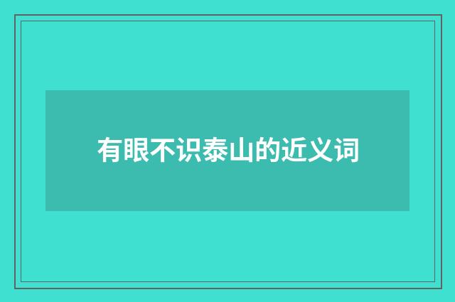 有眼不识泰山的近义词
