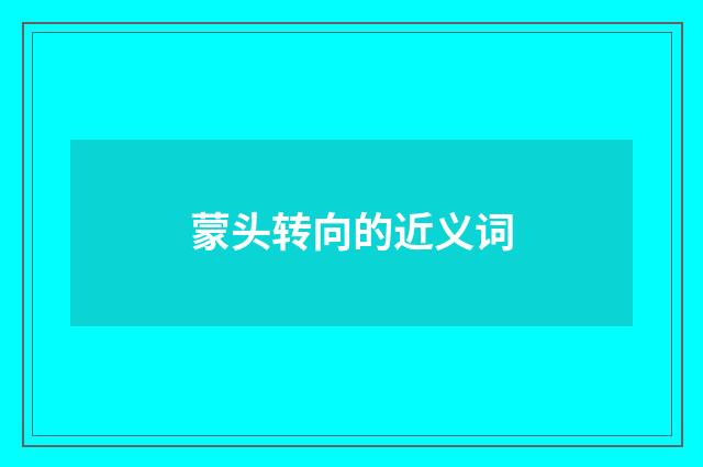 蒙头转向的近义词