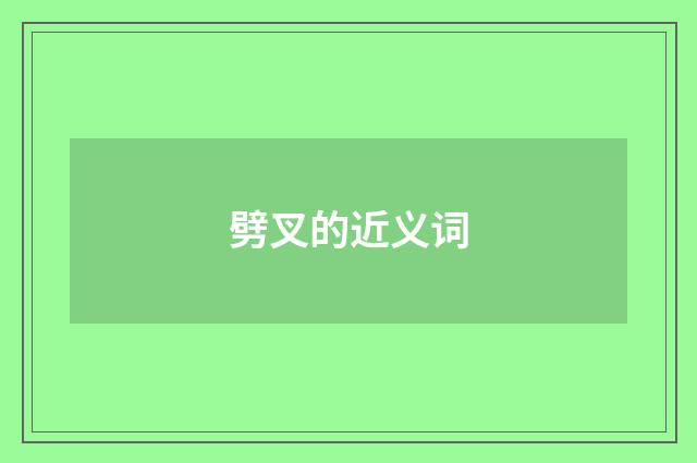 劈叉的近义词