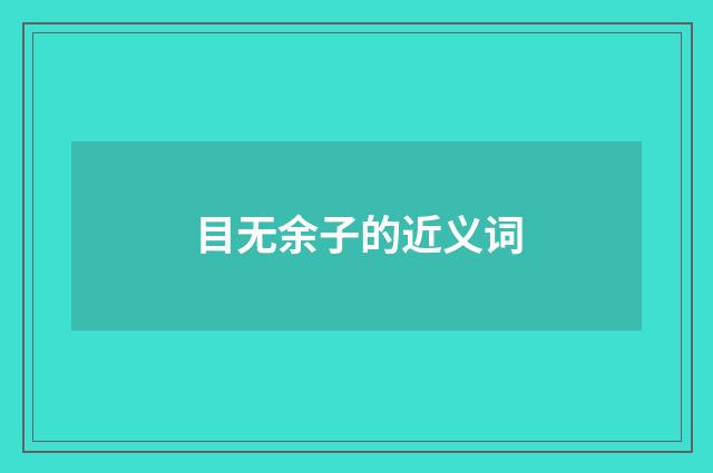 目无余子的近义词