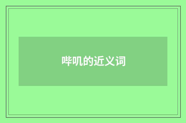 哔叽的近义词