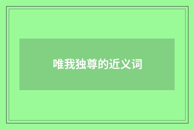 唯我独尊的近义词