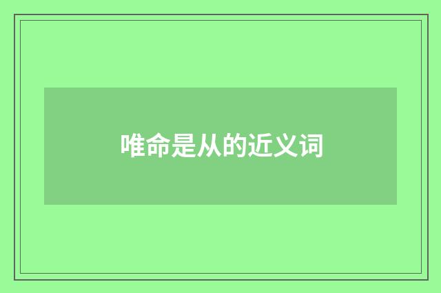 唯命是从的近义词