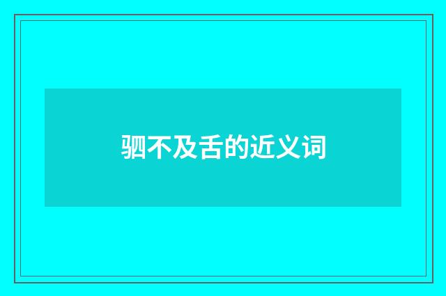 驷不及舌的近义词