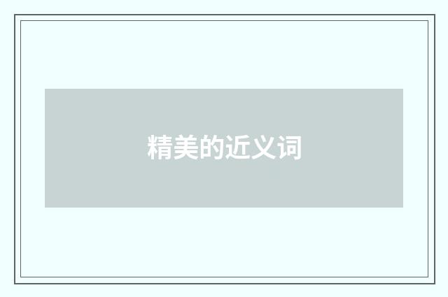 精美的近义词