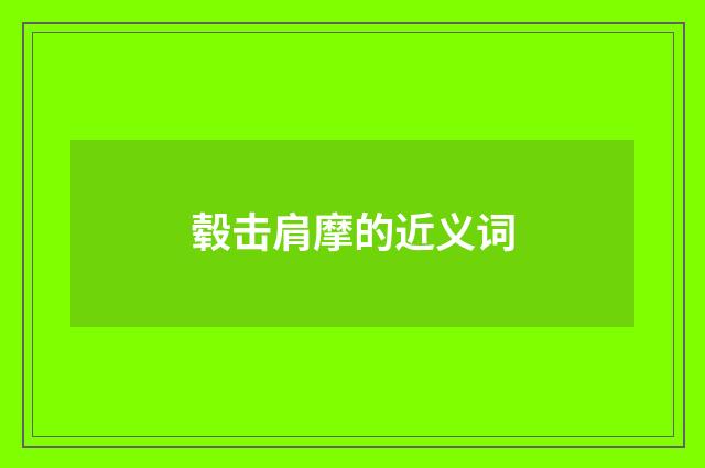 毂击肩摩的近义词