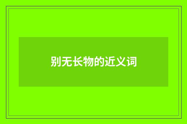 别无长物的近义词
