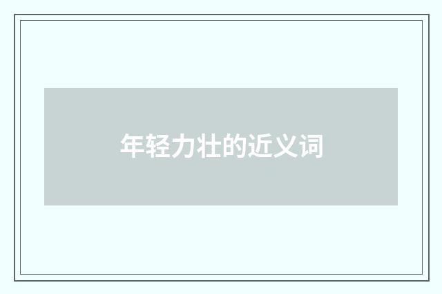 年轻力壮的近义词