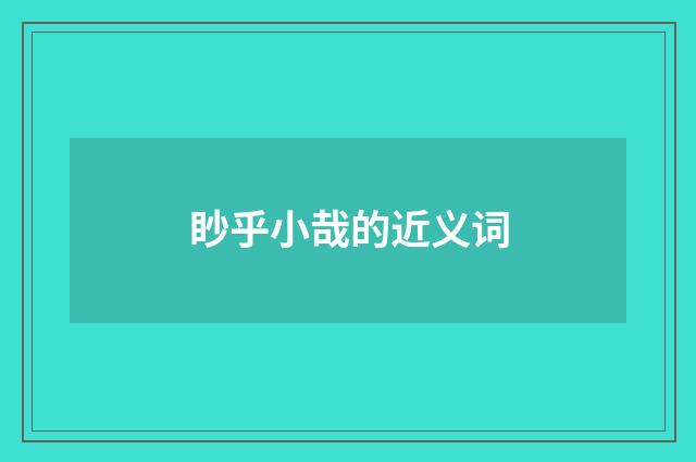 眇乎小哉的近义词