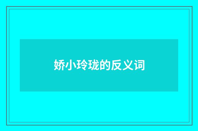 娇小玲珑的反义词