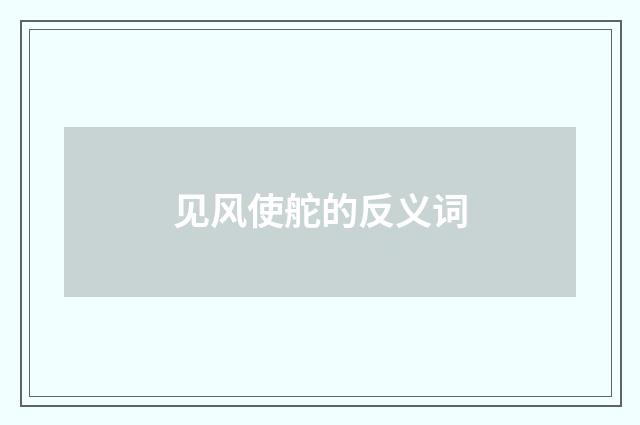 见风使舵的反义词