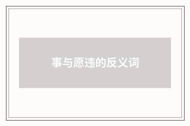 事与愿违的反义词