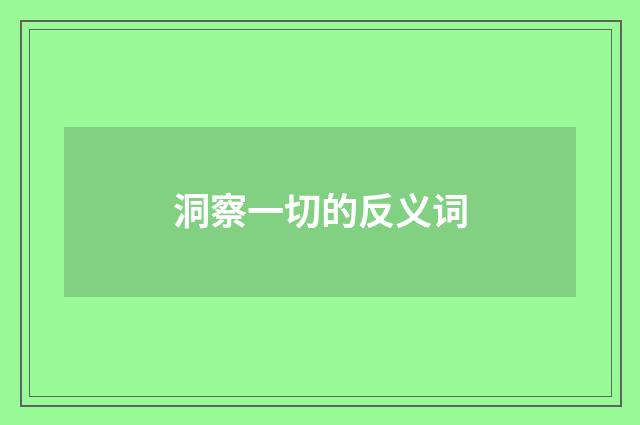洞察一切的反义词