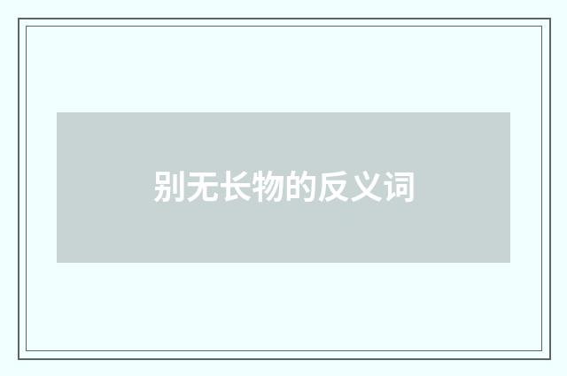 别无长物的反义词