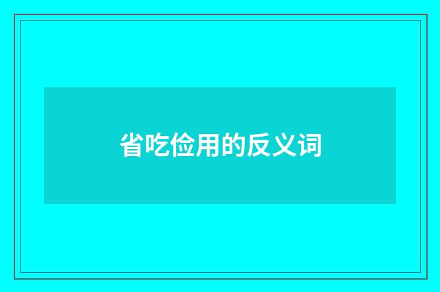 省吃俭用的反义词
