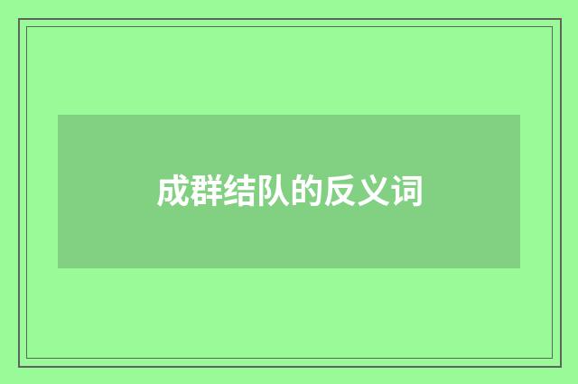 成群结队的反义词