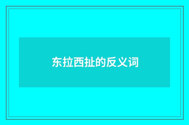 东拉西扯的反义词