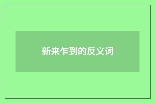新来乍到的反义词