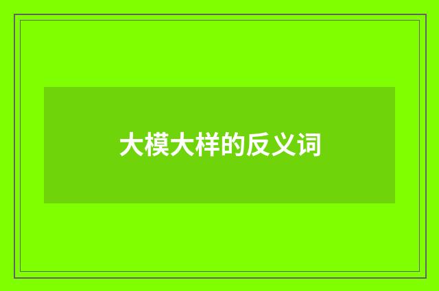 大模大样的反义词