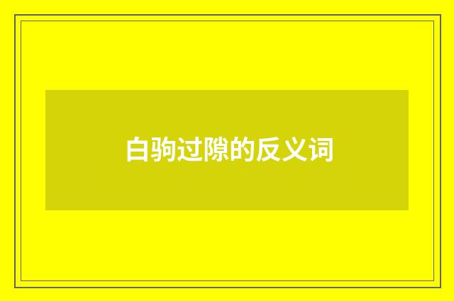 白驹过隙的反义词