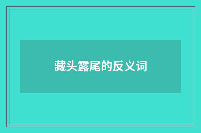 藏头露尾的反义词