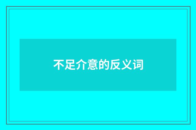 不足介意的反义词