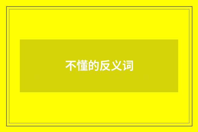 不懂的反义词