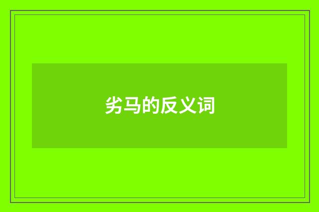 劣马的反义词