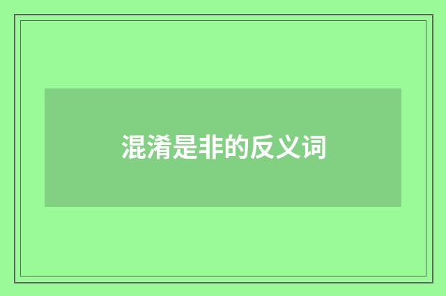 混淆是非的反义词