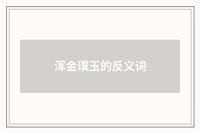浑金璞玉的反义词
