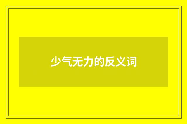 少气无力的反义词