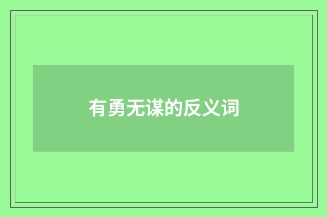 有勇无谋的反义词