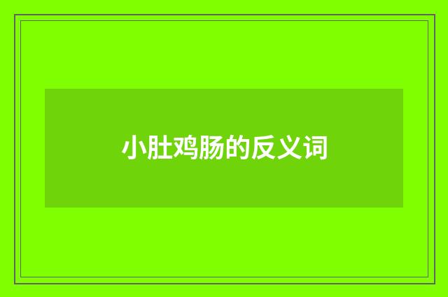 小肚鸡肠的反义词