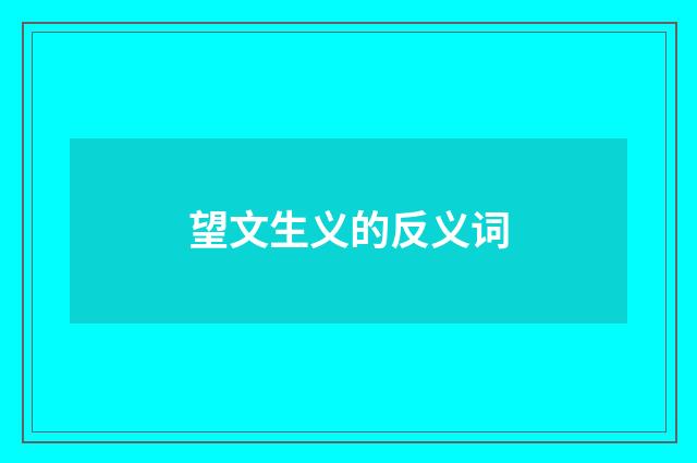 望文生义的反义词