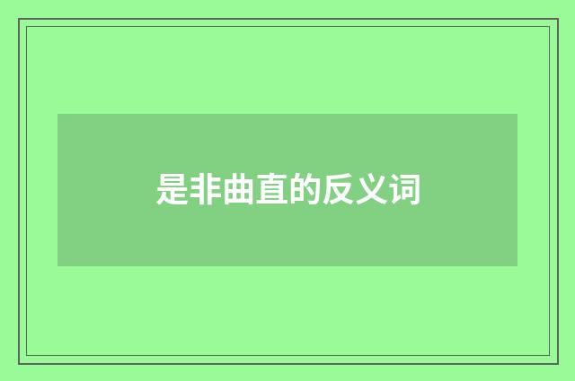 是非曲直的反义词