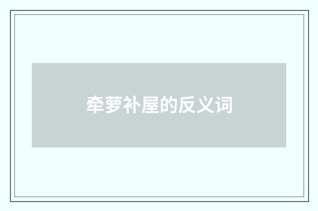 牵萝补屋的反义词